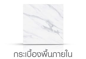 พื้นภายใน